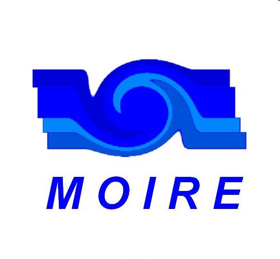 MOIRE2013